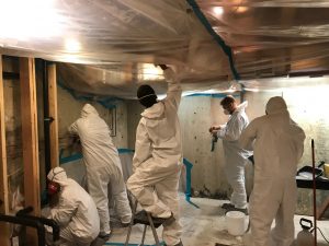 mold removal team